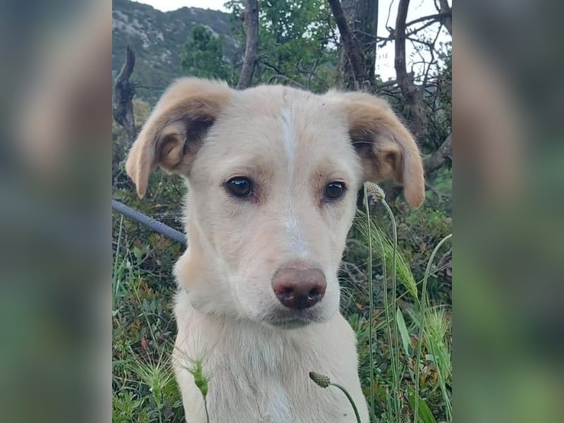 Mike- möchte einfach nur nach Hause