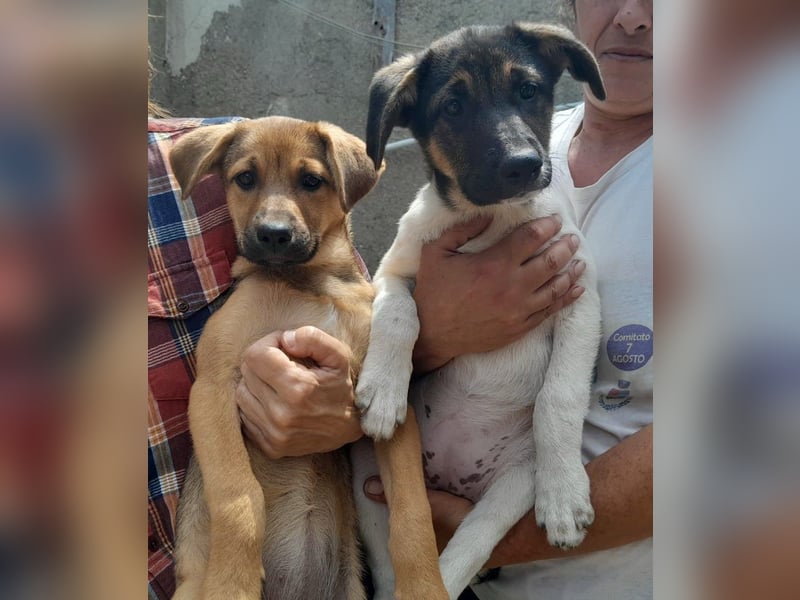 Iris:“ Und wann bekomme ich eine richtig gute Kinderstube?“