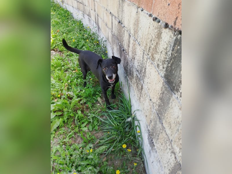 Black…….. is’ beautiful!