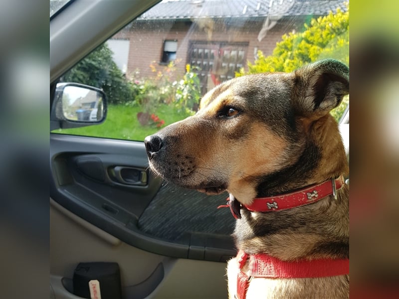 Terry:“Jetzt werde ich auch Familienhund?“