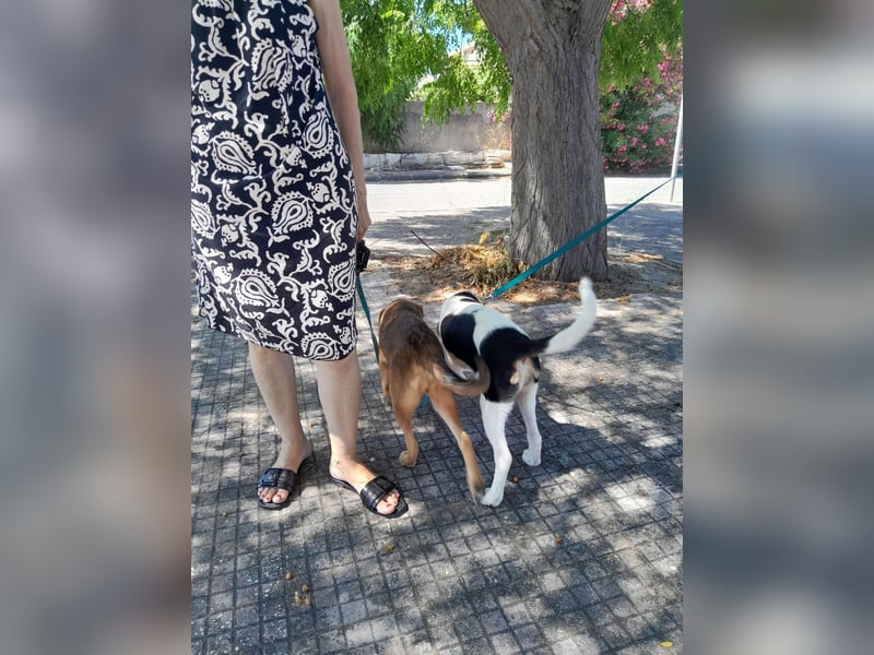 Mela:“ Gibt es für mich eine liebevolle Familie?“