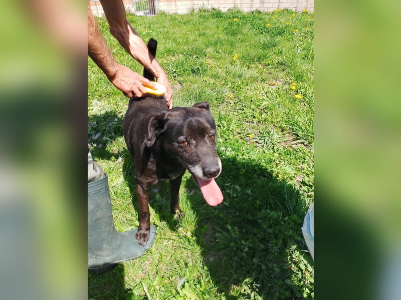 Black…….. is’ beautiful!