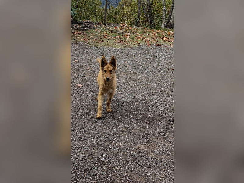 Pablo Plüschohr : „NACH HAUSE!“ Pablo Plüschohr : „NACH HAUSE!“