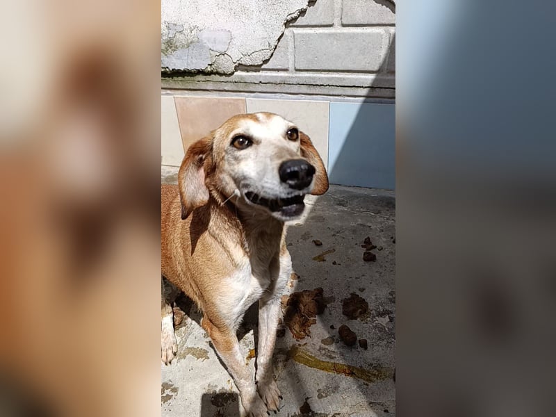 Alma – endlich dem Leben begegnen dürfen