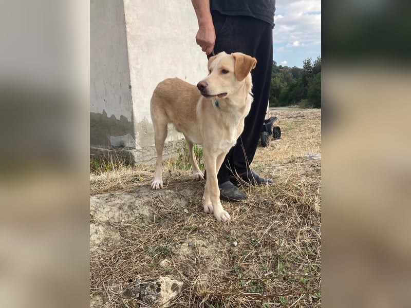 Mike- möchte einfach nur nach Hause