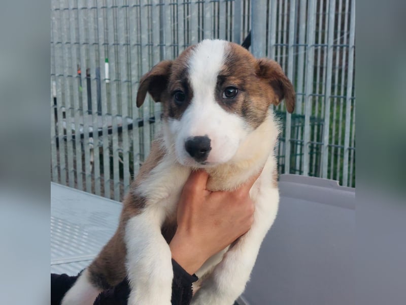 Dragoow - auf ins neue Leben!