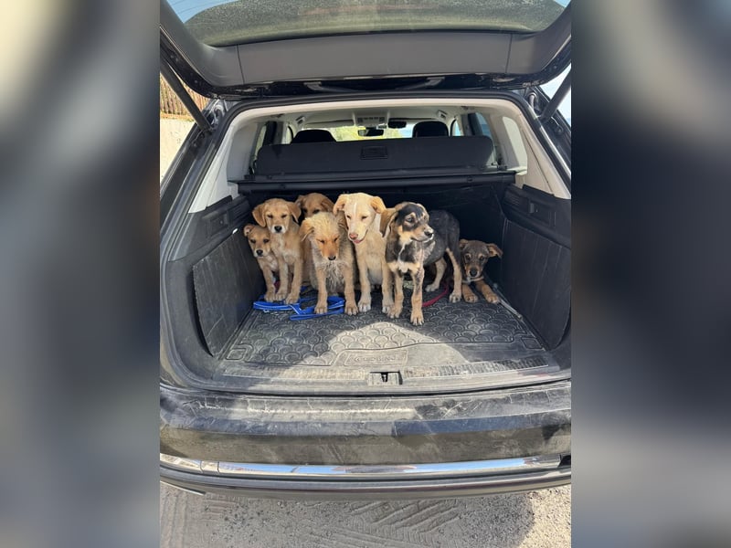 Mike- möchte einfach nur nach Hause