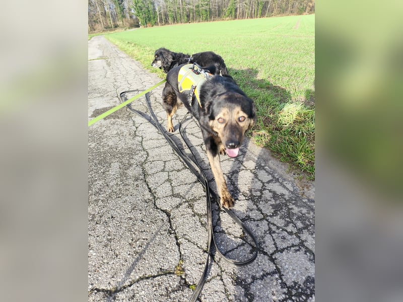 Elena sucht ihr Glück