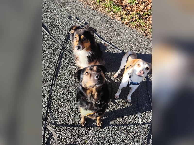 Elena sucht ihr Glück