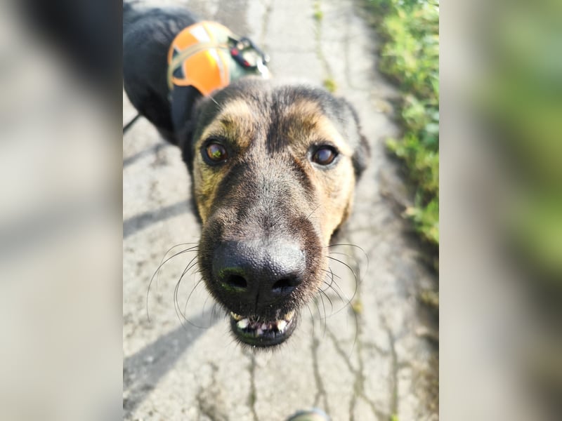 Elena sucht ihr Glück