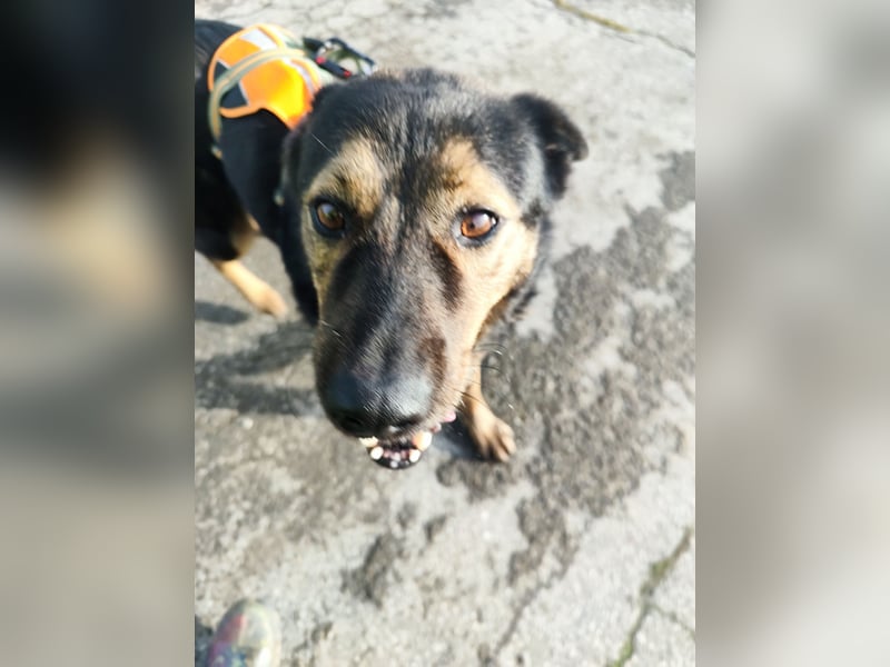 Elena sucht ihr Glück