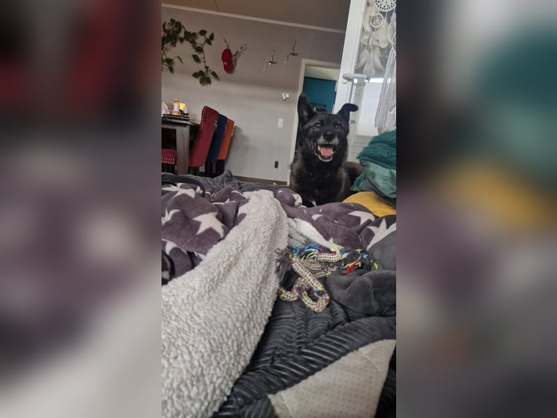 Fee sucht ihr Traumzuhause