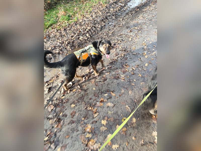 Elena sucht ihr Glück