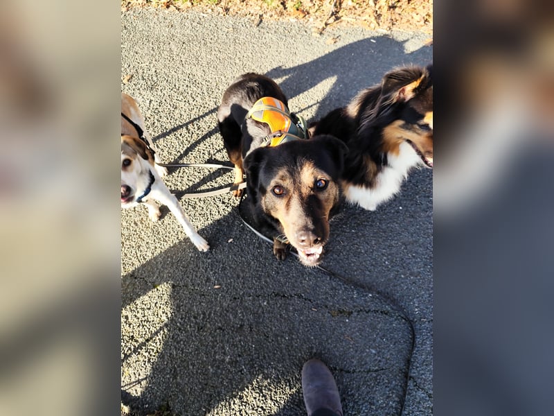 Elena sucht ihr Glück