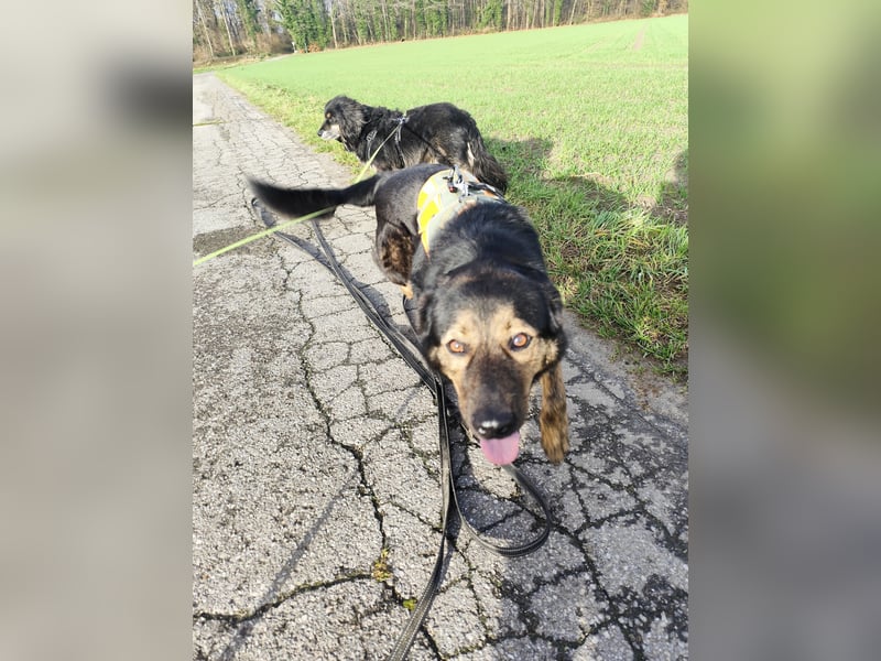 Elena sucht ihr Glück