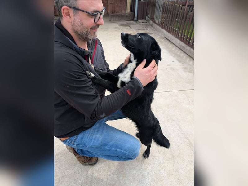 Taboo - komm spiel mit mir!