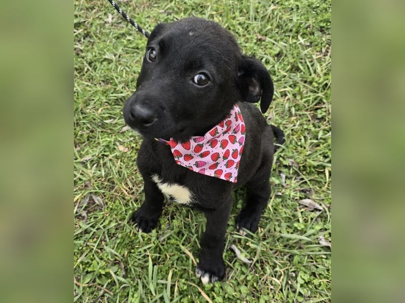 Grete - einfach weggeworfen