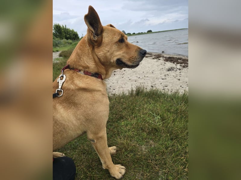 Ozzy - Konsequenz gefragt