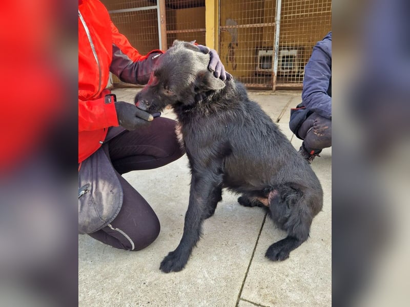 Taboo - komm spiel mit mir!