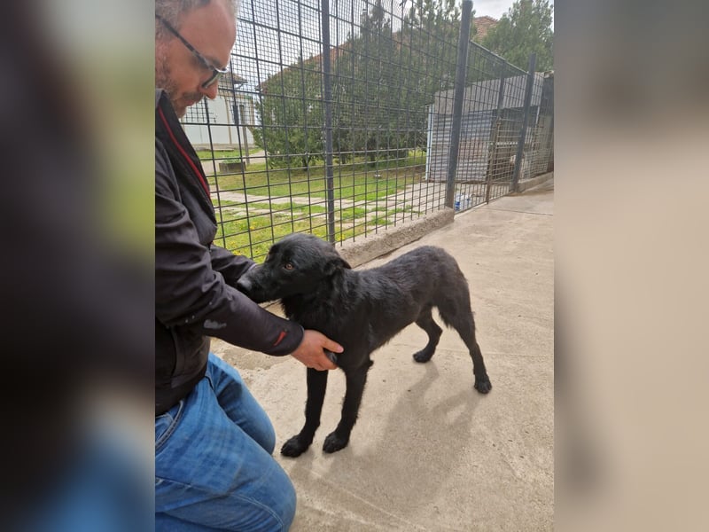 Taboo - komm spiel mit mir!