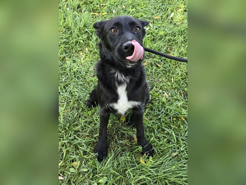 Taboo - komm spiel mit mir!