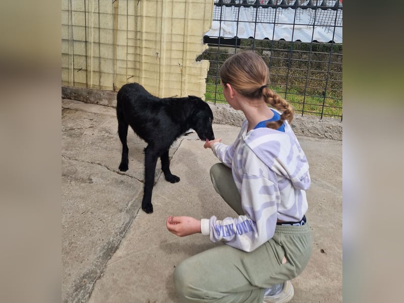 Taboo - komm spiel mit mir!