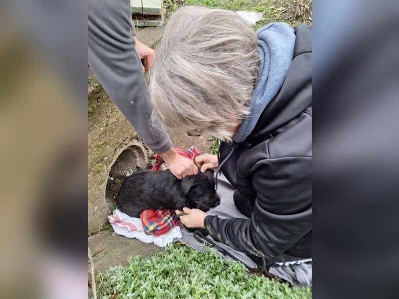 Robin Hood - Freiheitskämpfer