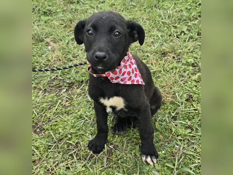 Grete - einfach weggeworfen