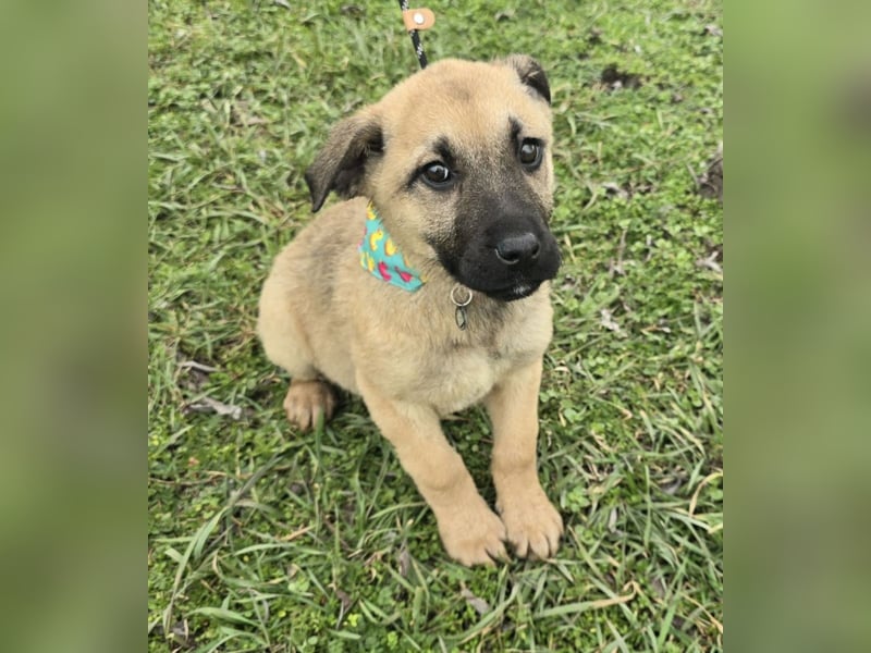 Golda wurde mit ihren 7 Geschwistern einfach entsorgt!