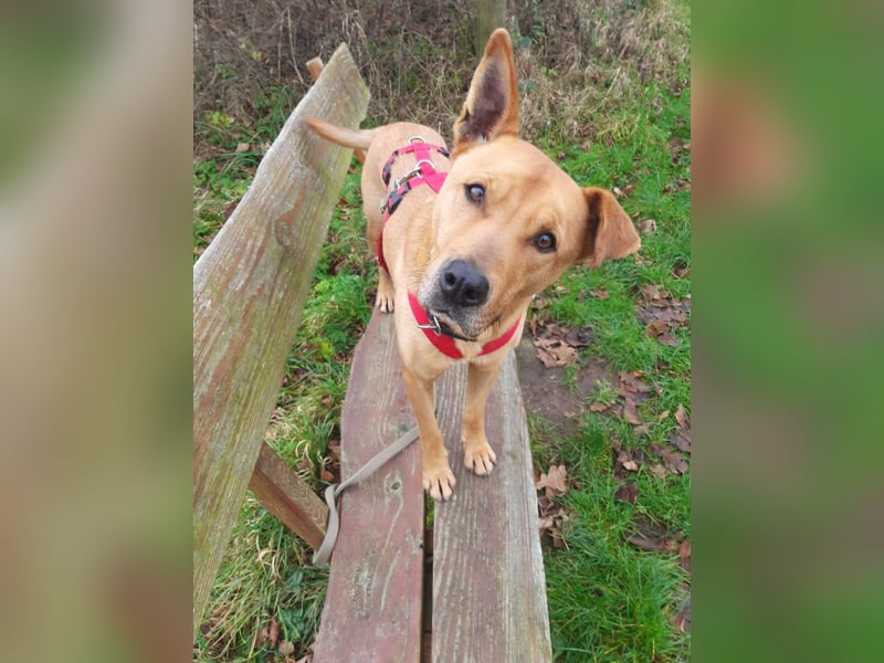 Ozzy - Konsequenz gefragt