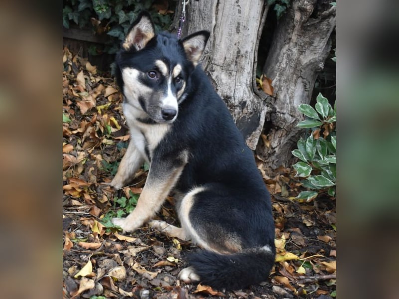 Vanessza - Menschen mit Zeit gesucht!