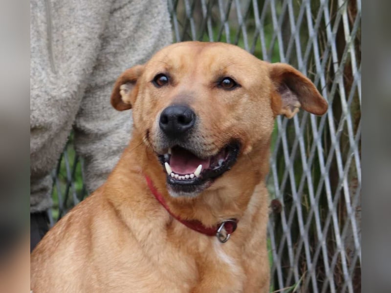 Ozzy - Konsequenz gefragt