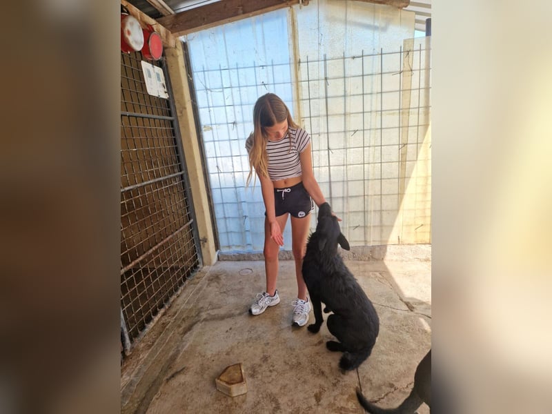 Taboo - komm spiel mit mir!