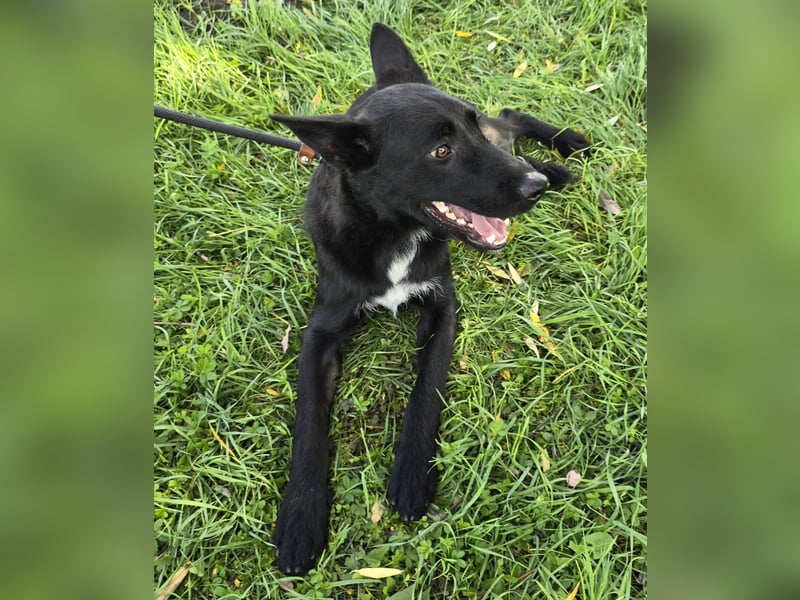 Taboo - komm spiel mit mir!