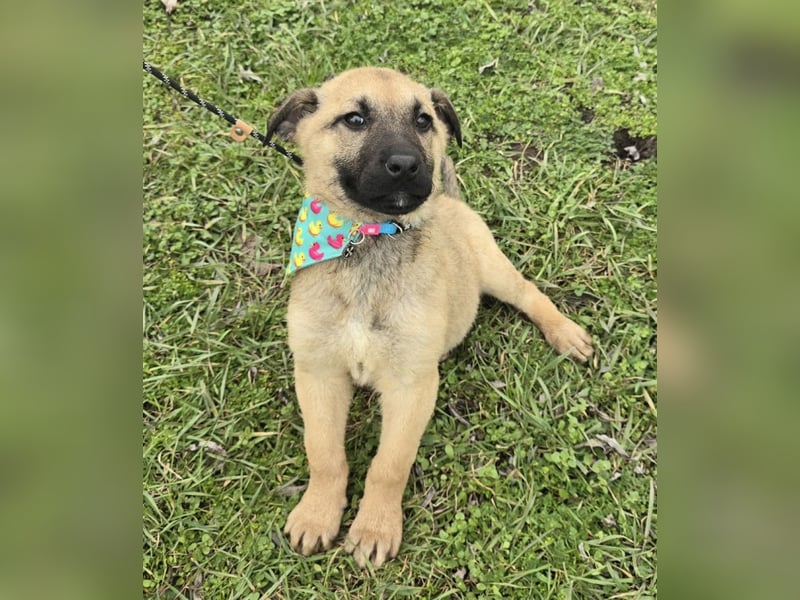 Golda wurde mit ihren 7 Geschwistern einfach entsorgt!