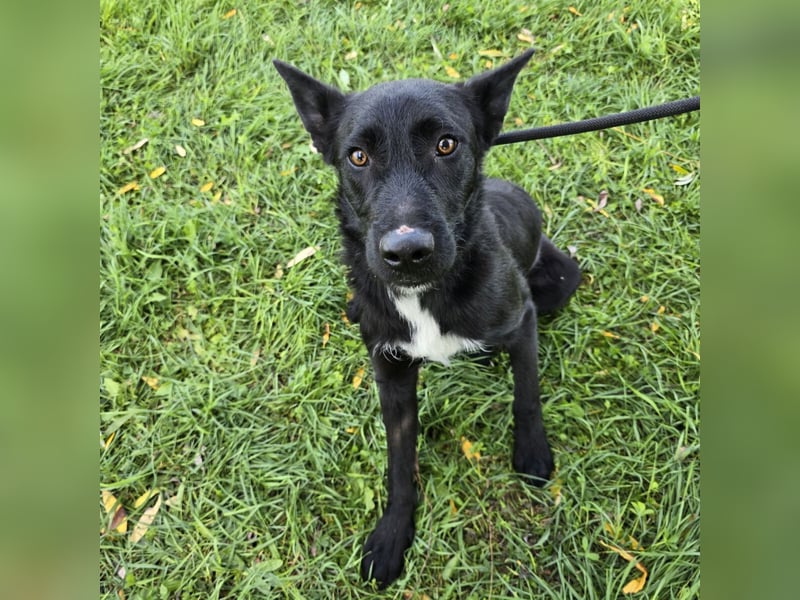 Taboo - komm spiel mit mir!