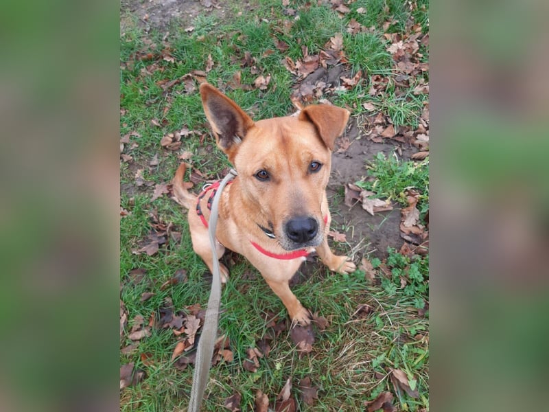 Ozzy - Konsequenz gefragt