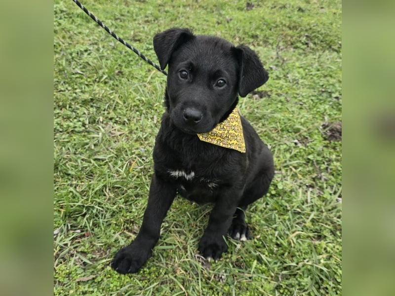 Gerry - einer von 8 Geschwistern ...