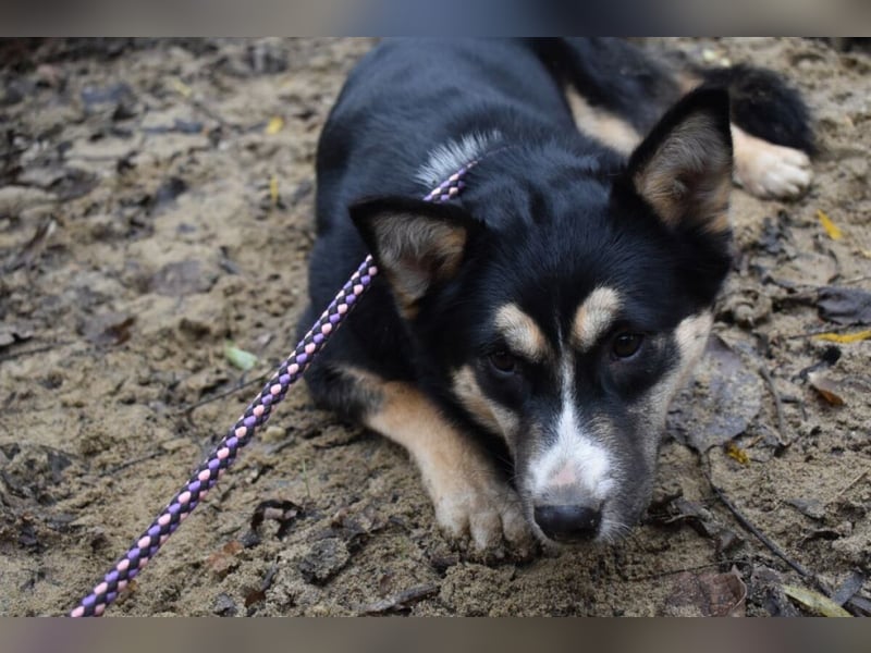 Vanessza - Menschen mit Zeit gesucht!