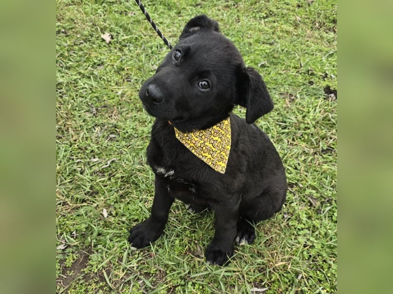 Gerry - einer von 8 Geschwistern ...