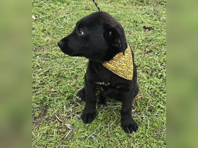 Gerry - einer von 8 Geschwistern ...