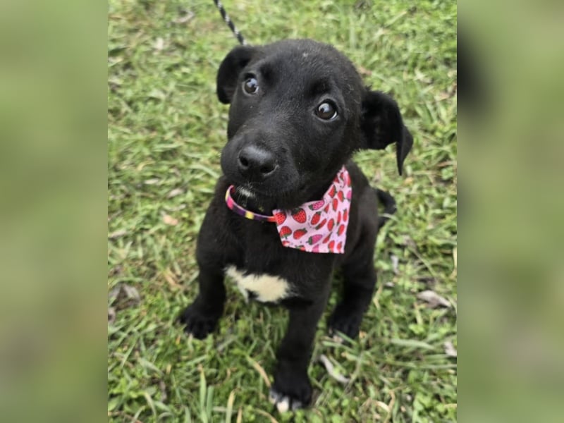 Grete - einfach weggeworfen