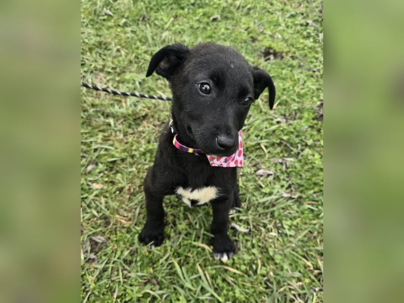 Grete - einfach weggeworfen