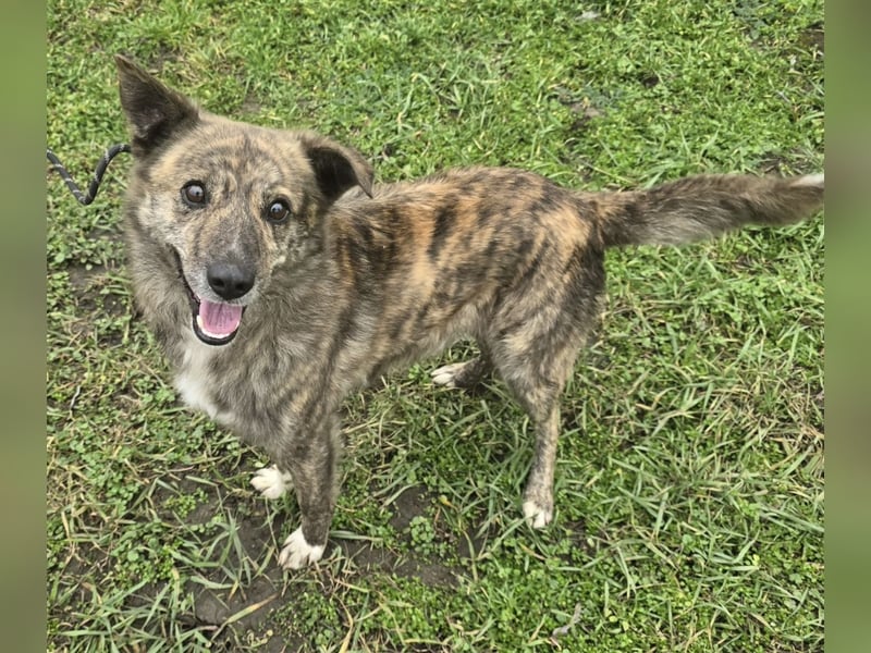 Flavio - Klettermax