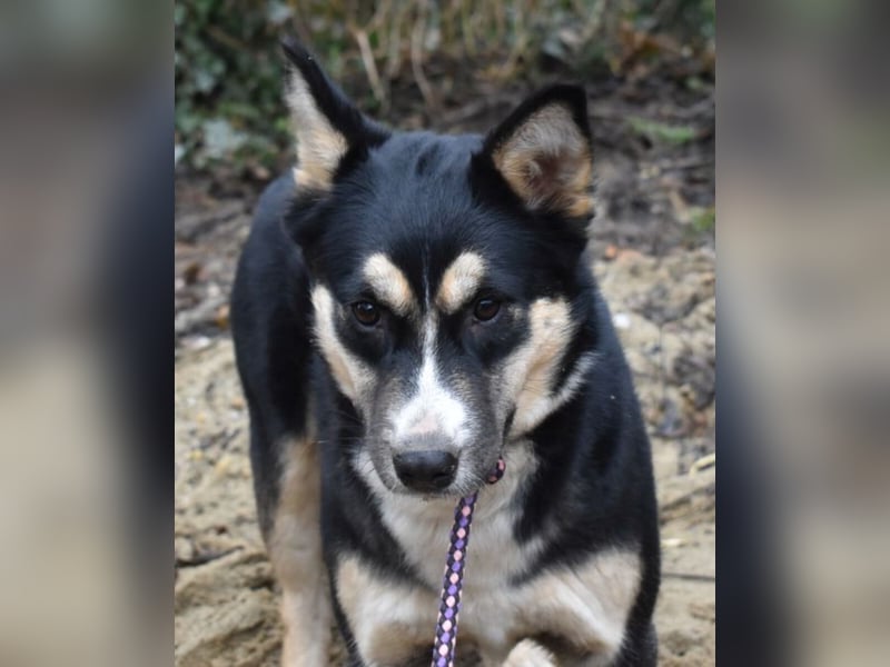 Vanessza - Menschen mit Zeit gesucht!