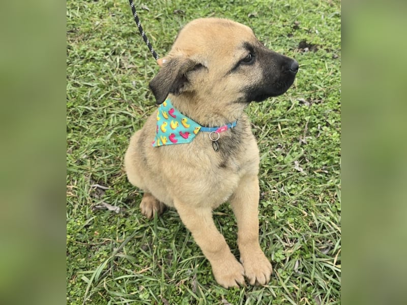 Golda wurde mit ihren 7 Geschwistern einfach entsorgt!