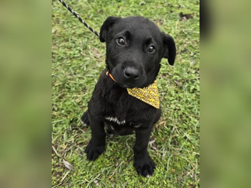 Gerry - einer von 8 Geschwistern ...