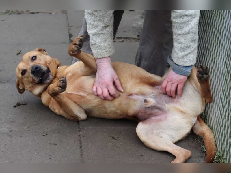 Ozzy - Konsequenz gefragt