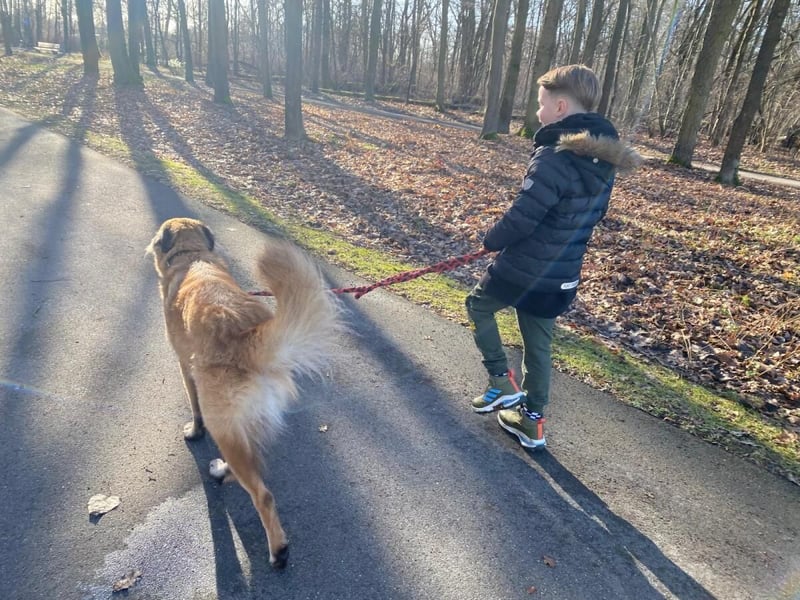 Skoppy neues Zuhause gesucht