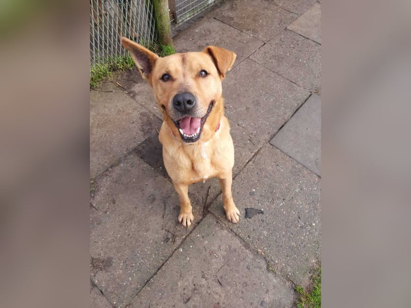 Ozzy - Konsequenz gefragt